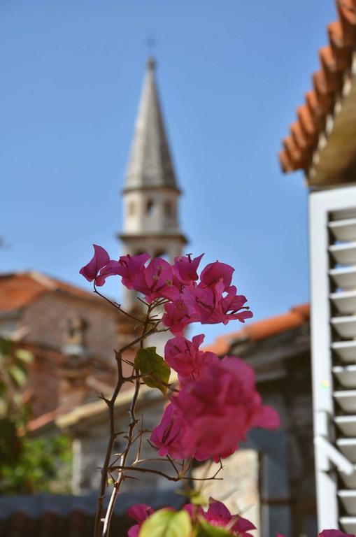 Freedom Hostel Budva